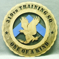319th Training Squadron Wall Tribute